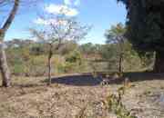 Lotes de 200 y 400 varas planos con agua y luz Lotes de 200 y 400 varas planos con agua y luz