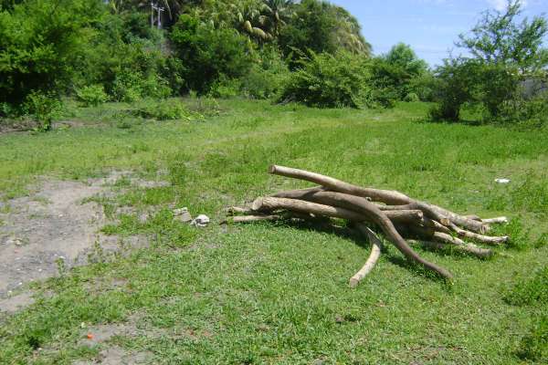 Venta De Terreno En La Playa Cangrejera, La Libertad En La Libertad ...